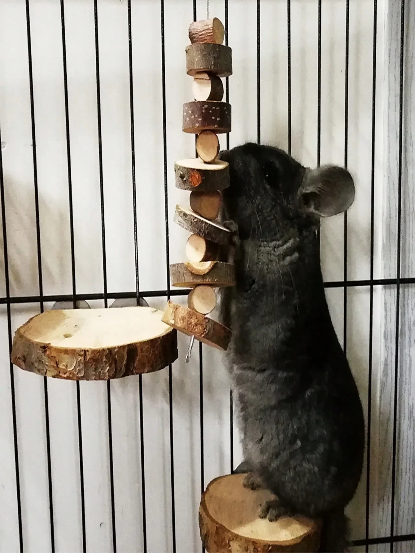 Woodworking Rabbet - Hamster Rabbit Chew Toy Natural Wood