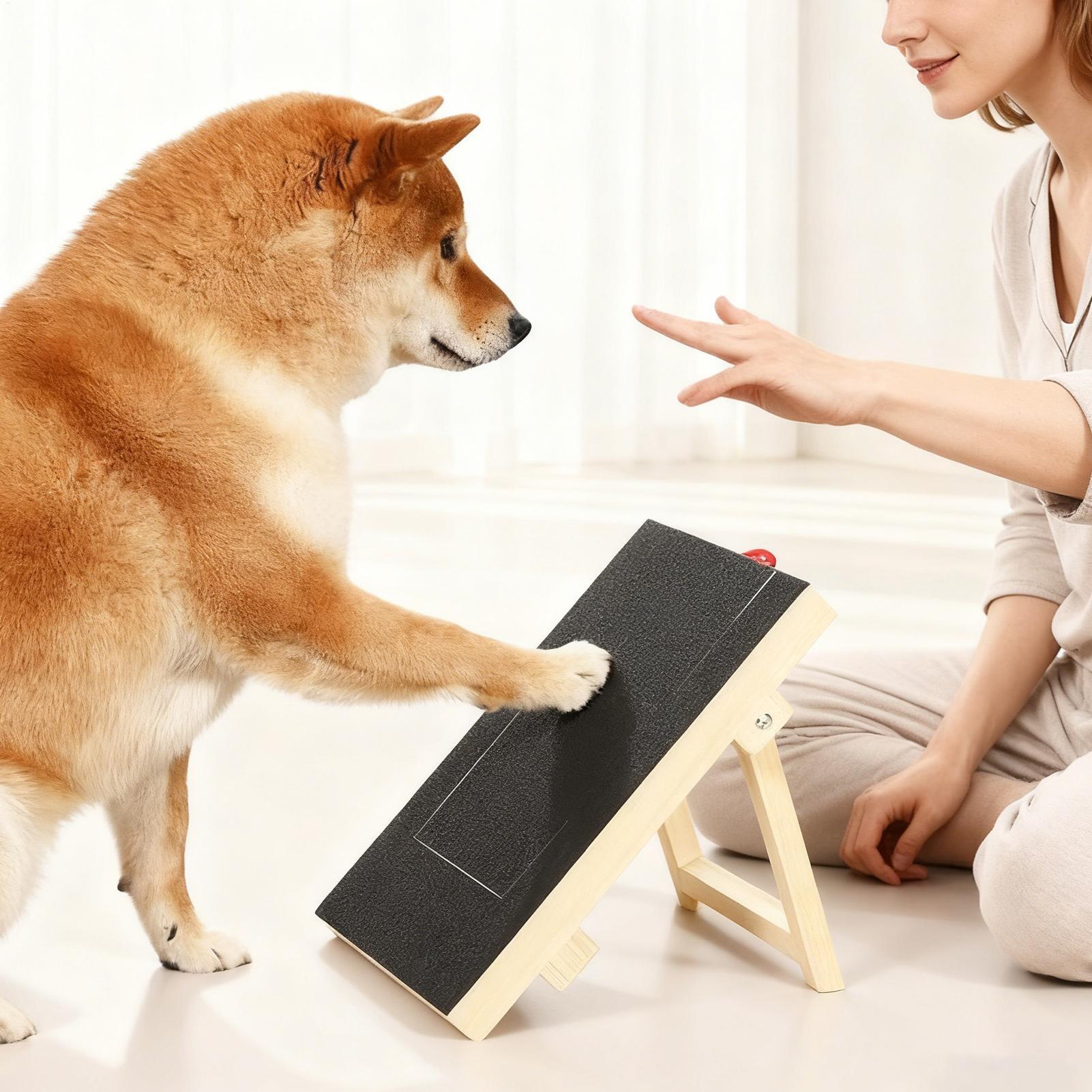 Dog Nail File Board with Pull- - Woodworking Magazine recension och pris