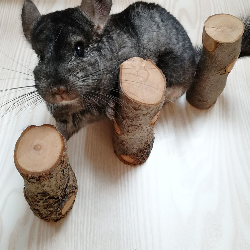 Pet Hamster Toy Natural Apple  - Woodworking Rabbet recension och pris